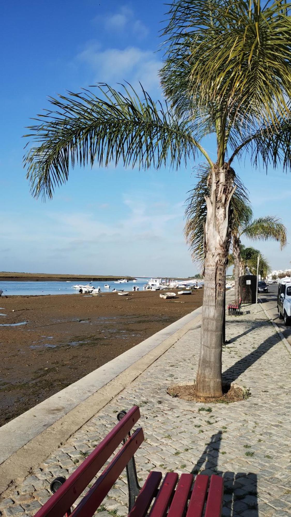 Casinha Secreta - A Gema Escondida Da Santa Luzia